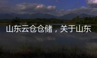 山東云倉倉儲，關于山東云倉軟件科技詳細情況