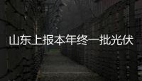 山東上報本年終一批光伏無補貼平價上網項目的通知,行業標準