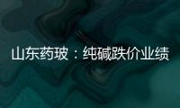 山東藥玻：純堿跌價業(yè)績彈升 維持公司增持評級,企業(yè)新聞