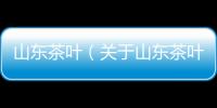 山東茶葉（關于山東茶葉的基本情況說明介紹）