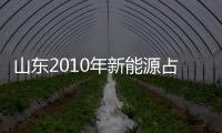 山東2010年新能源占比提高到4%%