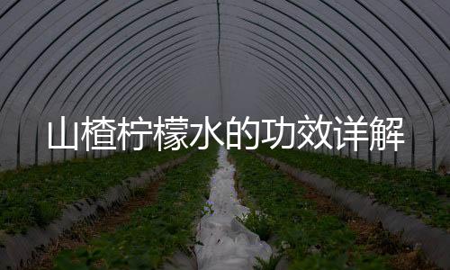 山楂檸檬水的功效詳解