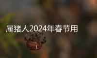 屬豬人2024年春節(jié)用什么顏色吉利