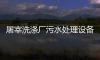 屠宰洗滌廠污水處理設備