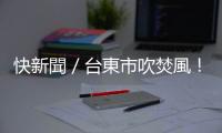 快新聞／臺東市吹焚風！ 樹幹「攔腰折斷」急拉封鎖線