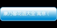 康乃馨花語大全 寓意（康乃馨花語大全）