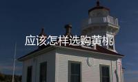 應該怎樣選購黃桃