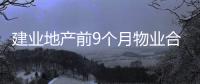 建業地產前9個月物業合同銷售額193.63億元