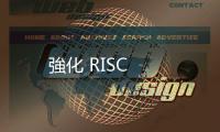 強(qiáng)化 RISC