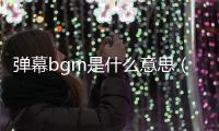 彈幕bgm是什么意思（彈幕bgm什么意思）