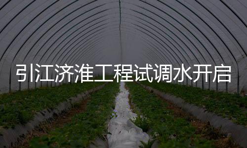 引江濟淮工程試調水開啟