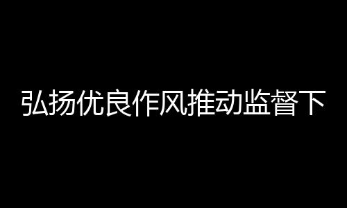 弘揚優(yōu)良作風(fēng)推動監(jiān)督下沉落地