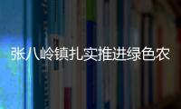 張八嶺鎮扎實推進綠色農機升級工作_