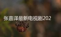 張嘉譯最新電視劇2020（張嘉譯最新電視劇）