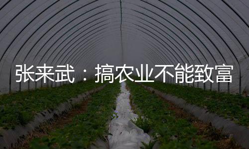 張來武：搞農業不能致富是對農業歷史的誤解