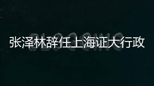 張澤林辭任上海證大行政總裁