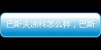 巴斯夫涂料怎么樣，巴斯夫涂料價(jià)格介紹