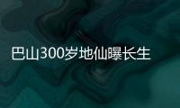 巴山300歲地仙曝長生不老驚人內幕！