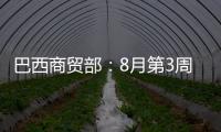 巴西商貿(mào)部：8月第3周累計裝出未加工棉花4.79萬噸