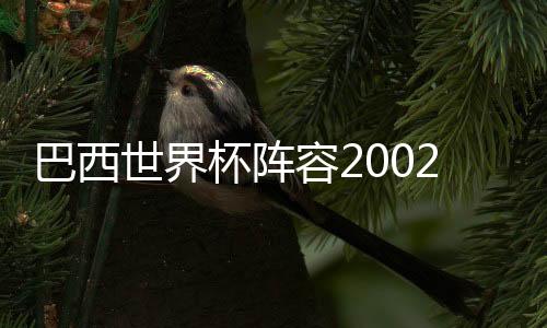 巴西世界杯陣容2002年世界杯巴西隊名單名單