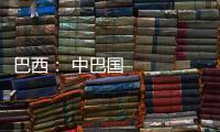 巴西： 中巴國旗飄揚迎接龍年新春