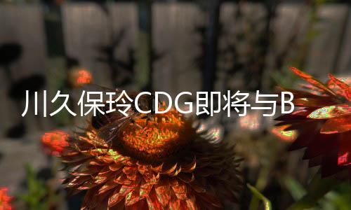 川久保玲CDG即將與BAPE推出全新聯名系列