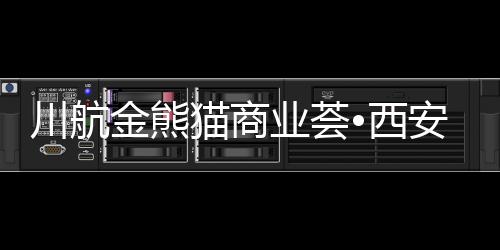 川航金熊貓商業薈?西安店正式開業