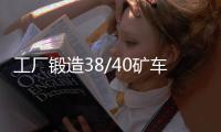 工廠鍛造38/40礦車連接插銷50*300固定式礦車用連接銷