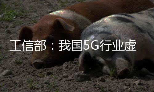 工信部：我國5G行業虛擬專網超2萬個