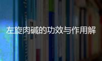 左旋肉堿的功效與作用解析