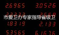 市愛衛辦專家指導省級衛生鎮創建工作