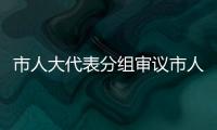 市人大代表分組審議市人大常委會及“兩院”工作報告_