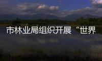 市林業局組織開展“世界森林日”主題宣傳_