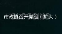 市政協召開黨組（擴大）會議暨第三十九次主席會議