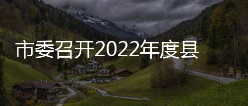 市委召開2022年度縣市區(qū)委（工委）書記抓基層黨建工作述職評議會_