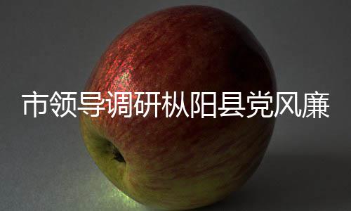 市領(lǐng)導(dǎo)調(diào)研樅陽縣黨風(fēng)廉政建設(shè)工作