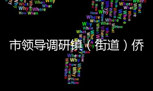 市領導調研鎮（街道）僑聯工作