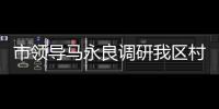 市領導馬永良調研我區村級組織換屆工作