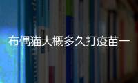 布偶貓大概多久打疫苗一次(布偶貓多久打疫苗針)