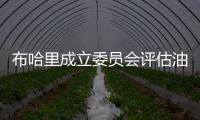 布哈里成立委員會評估油價下跌對預算影響