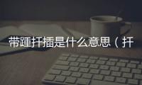 帶踵扦插是什么意思（扦插是什么意思）