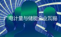 廣電計量與儲能企業(yè)瓦錫蘭開展技術(shù)合作