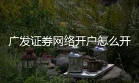 廣發(fā)證券網(wǎng)絡(luò)開戶怎么開戶，廣發(fā)證券網(wǎng)絡(luò)開戶怎么開