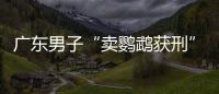 廣東男子“賣鸚鵡獲刑” 媒體：爭議也是種普法