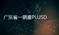 廣東省一輛秦PLUSDM