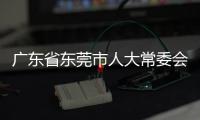 廣東省東莞市人大常委會黨組成員、副主任方燦芬被查