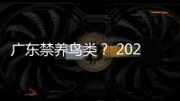 廣東禁養(yǎng)鳥(niǎo)類？ 2021年禁養(yǎng)鳥(niǎo)類