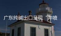 廣東純堿出口呈現(xiàn)“井噴”,行業(yè)資訊