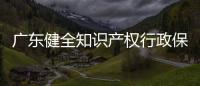 廣東健全知識產權行政保護技術調查官制度