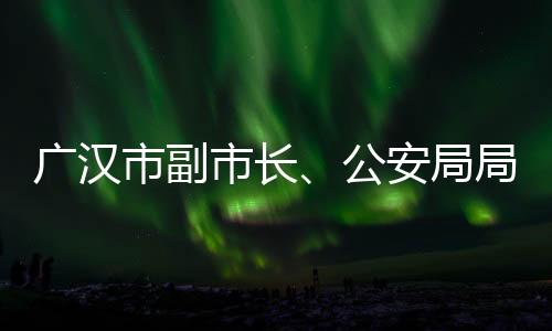 廣漢市副市長、公安局局長安宇到公司進(jìn)行節(jié)前安全檢查